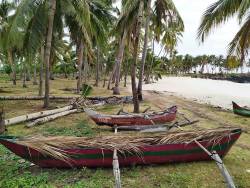 Deforestation leaves Comoros island dangerously low on water