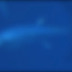 The Atlantic Bluefin Tuna