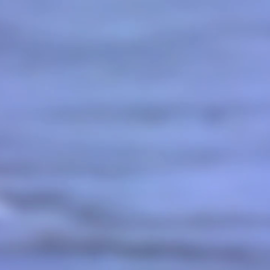 The Home Of The Polar Bear