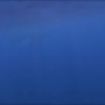 The Most Beautiful Songs of the Humpback Whales