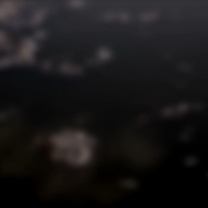 The Oxygen in the Ocean