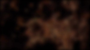 The Winter Home Of The Monarch Butterfly