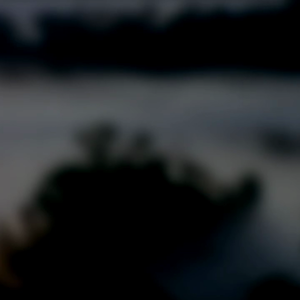 Tropical Rainforests