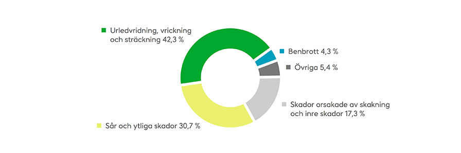 De flesta av de skador som daghemspersonal utsätts för är urledvridningar och stukningar, och ofta även sår och ytliga skador. Ibland uppstår också benbrott. Källa: Fennias statistik