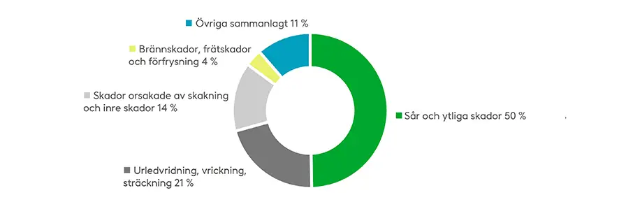 Olycksfall bland unga i åldern 15–19 år under sommarmånaderna enligt skadans art sommaren 2022.