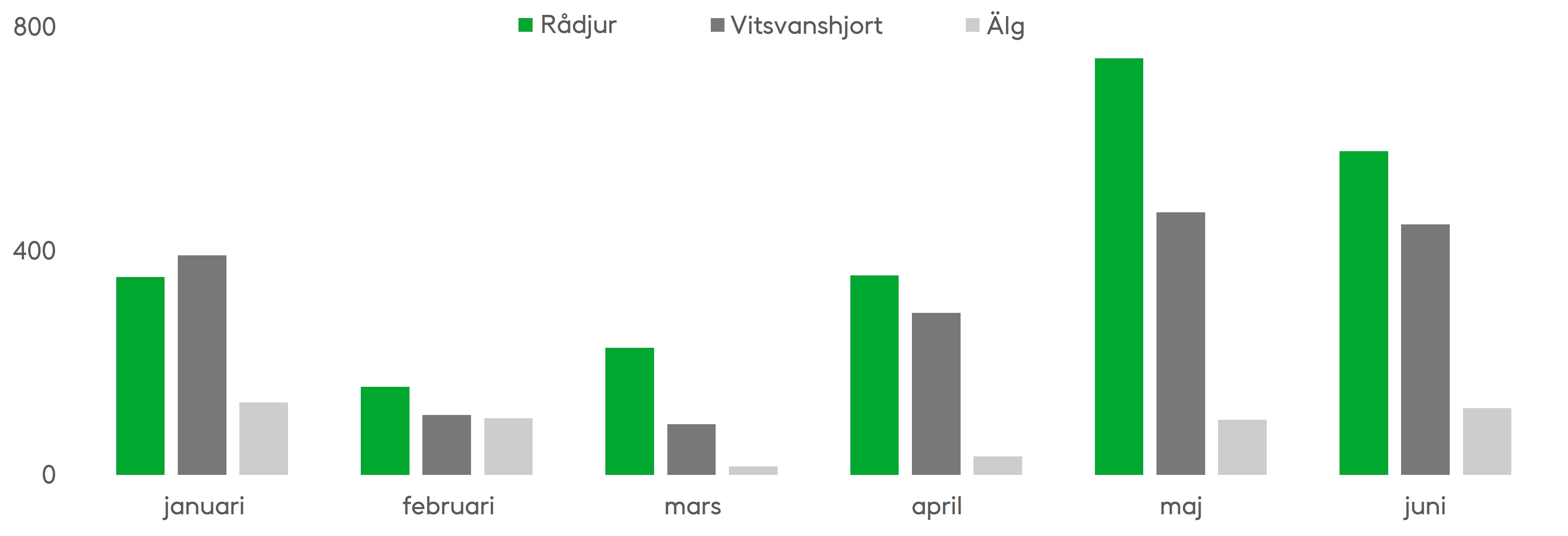 Under vårsäsongen framträder särskilt rådjuren i samband med hjortdjursolyckor. Andelen älgolyckor är liten, men med tanke på djurens storlek kan älgolyckorna vara farligare. Källa: Statistikcentralen