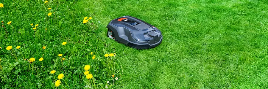 Robottiruohonleikkuri leikkaa nurmikkoa. 