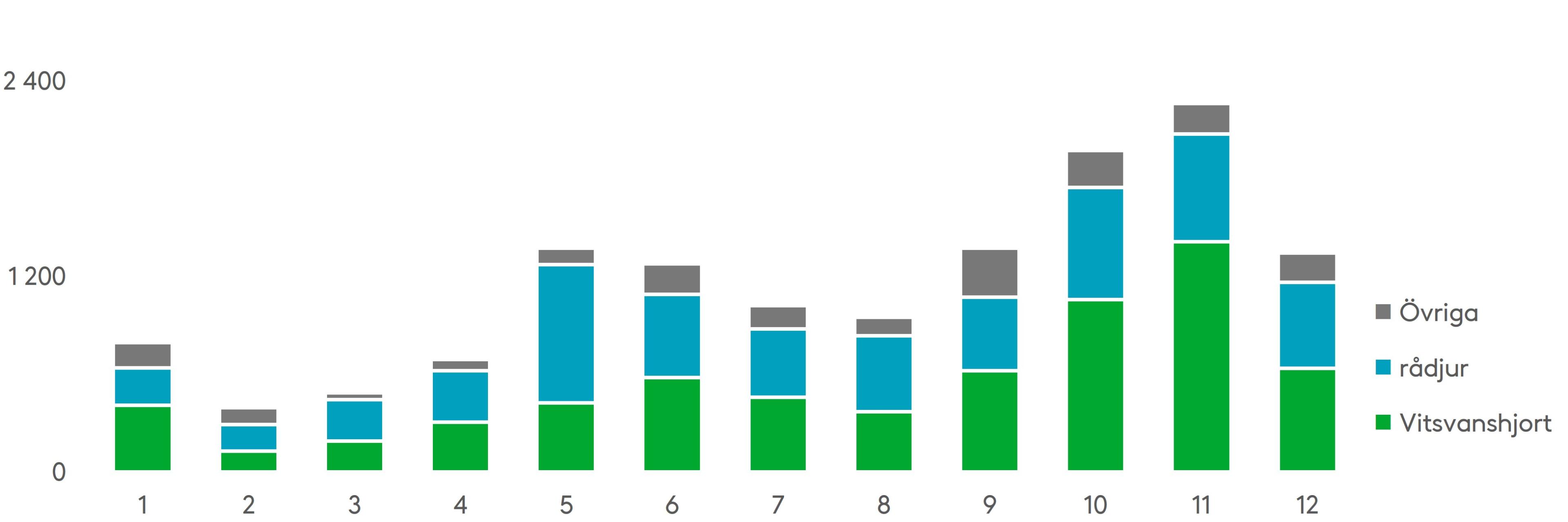 En stor del av hjortdjursolyckorna i slutet av året inträffar med vitsvanshjort i oktober–november. Källa: Statistikcentralen