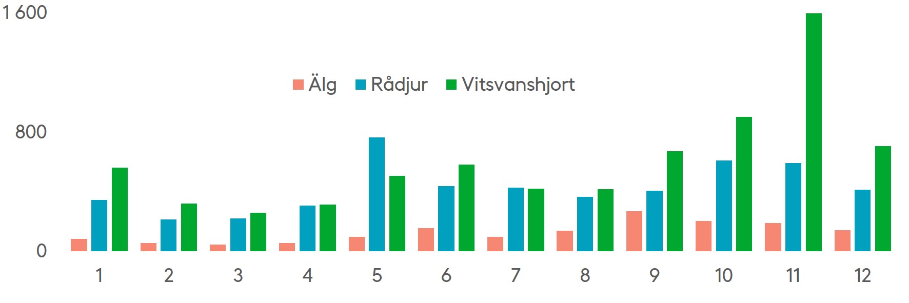 Antalet olyckor med hjortdjur är vanligen högst i november, och orsaken är då oftast vitsvanshjortar.