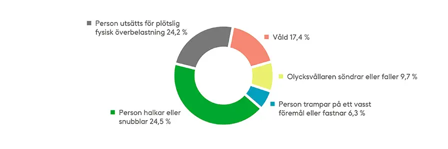 De flesta olycksfall i arbetet bland daghemspersonal beror liksom inom andra branscher på halkningar eller fall. Det sker också relativt många olyckor till följd av våld och plötslig fysisk belastning. Källa: Fennias statistik