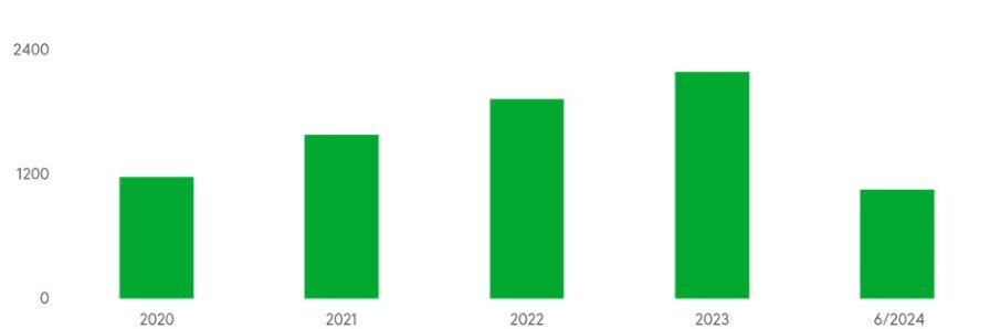 Kaavio tietomurrot ja niiden yritykset vuosittain 2020-2024.