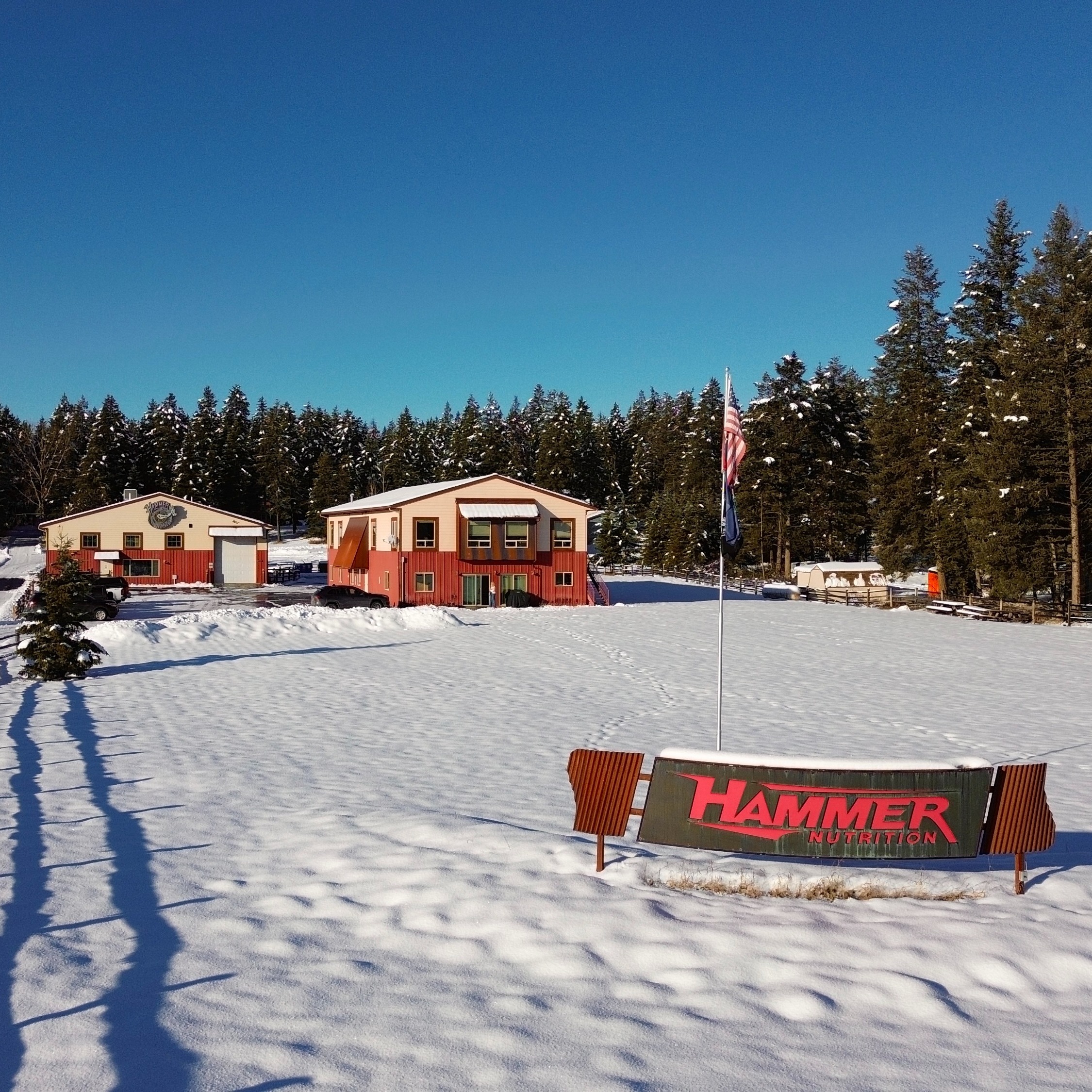 Local Vendor Spotlight: Hammer Nutrition