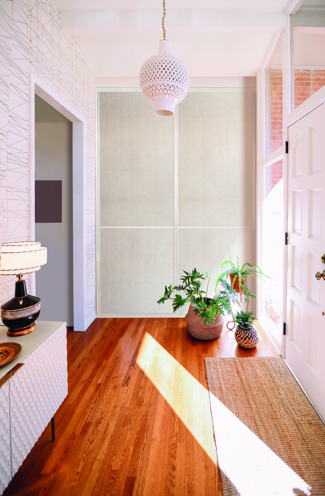 idee-facade-leguan-nacre