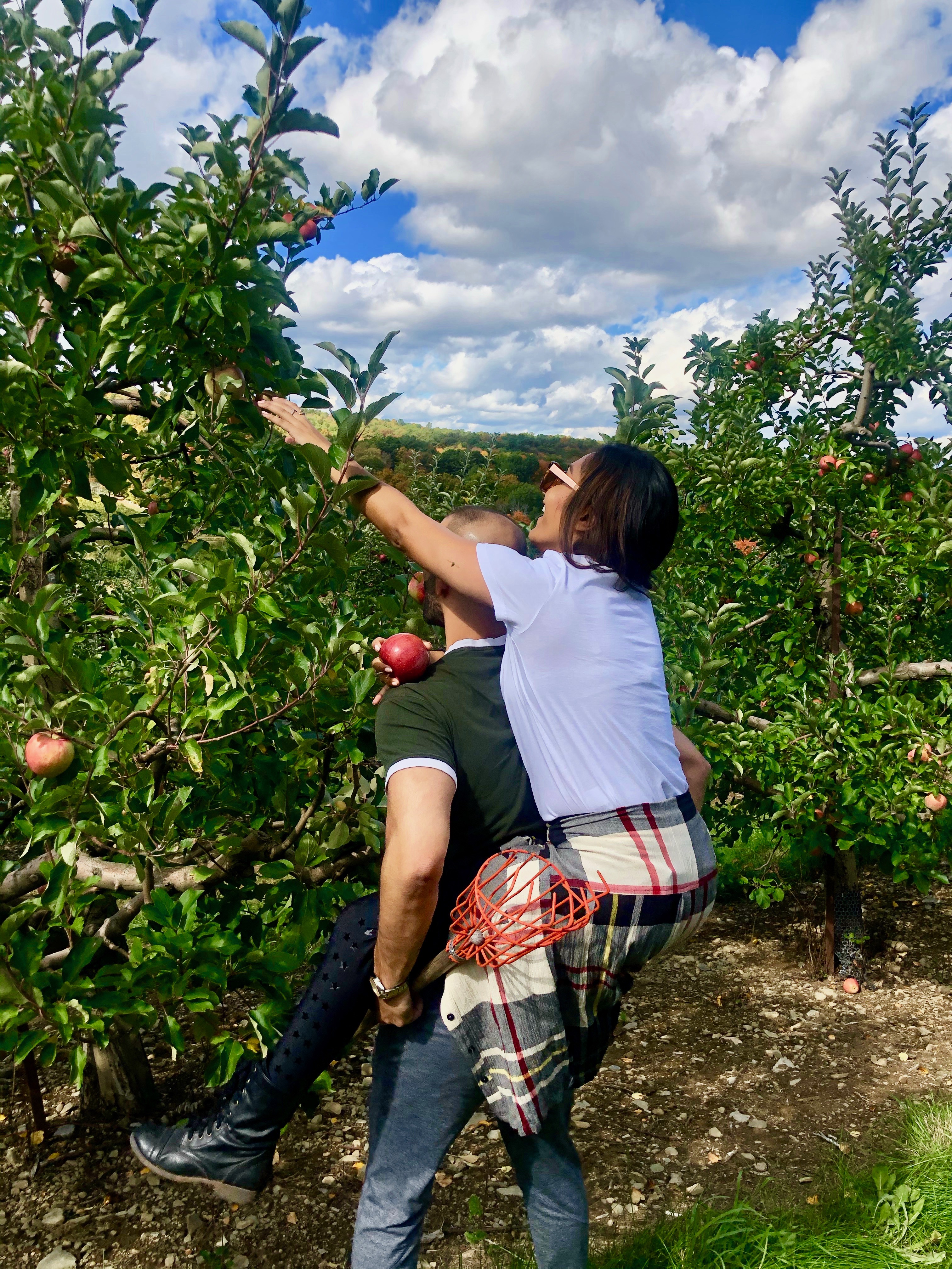 applepicking