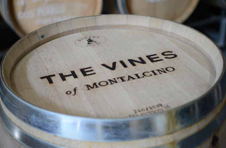 The-Vines-Moltacino-Barrel-Logo-Logomark-Design