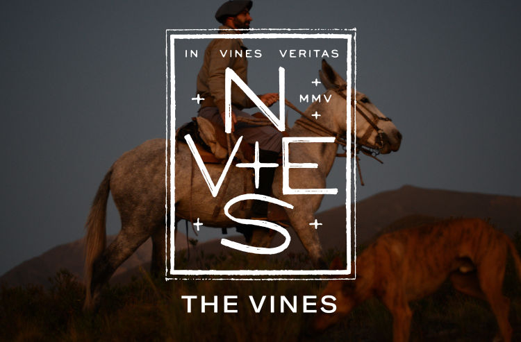 The-Vines-Logo-Logomark-Design-Gaucho-Argentina