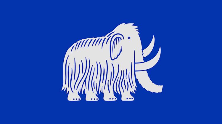 harrys-mythology-2025-new-brand-identity-design-branding-wordmark-wolly-mammoth-icon-secondary-mark-mascot-in-branded-blue