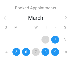 Booking Appointments Calendar