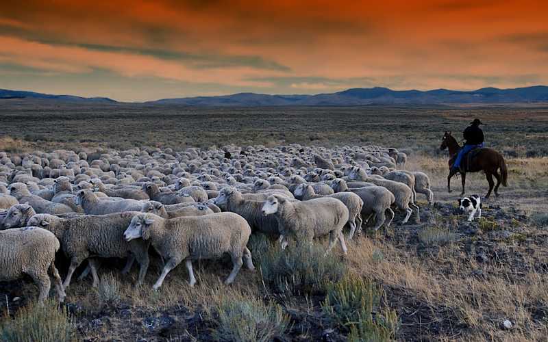 Idaho Electrician License Everything You Need to Know Housecall Pro