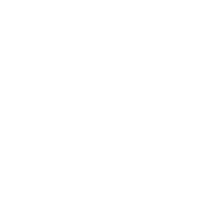 lady pro logo