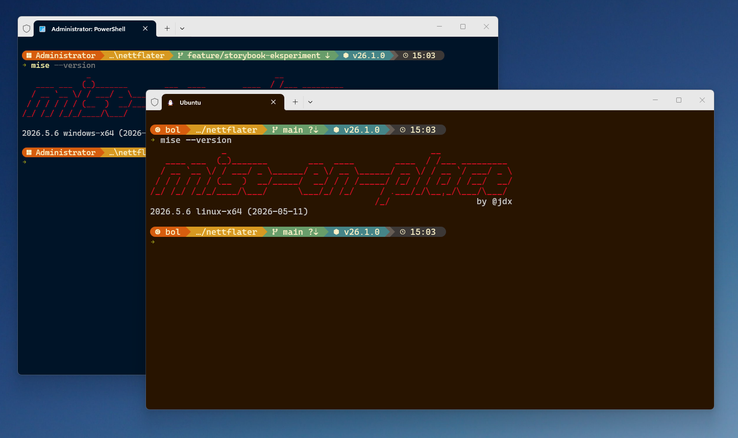 Mise running on Windows in PowerShell and WSL Ubuntu