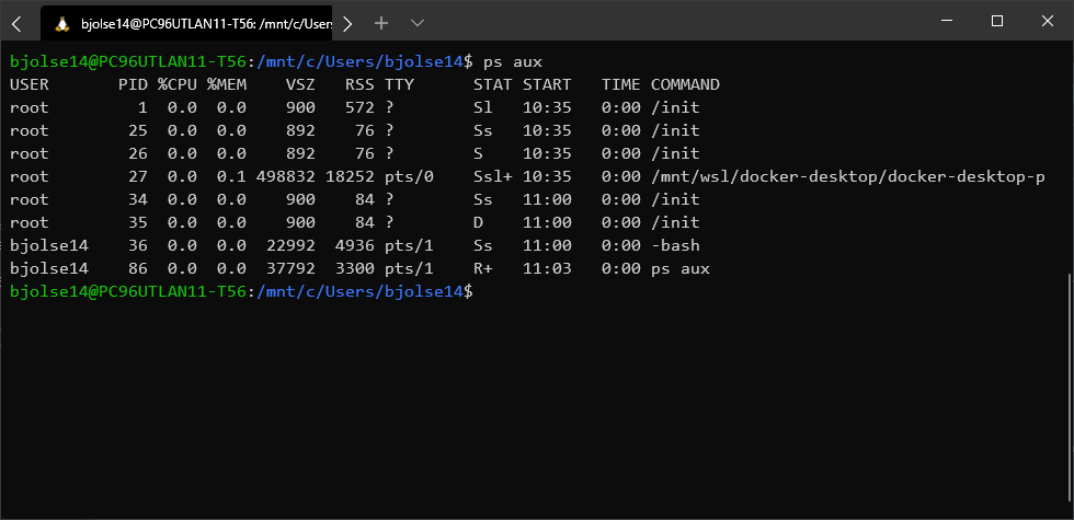 Running Ubuntu on Windows using Windows Subsystem for Linux (WSL)