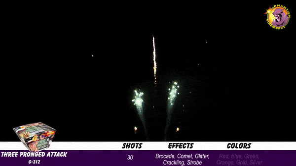 Fireworks University/500 Gram Repeaters/gif