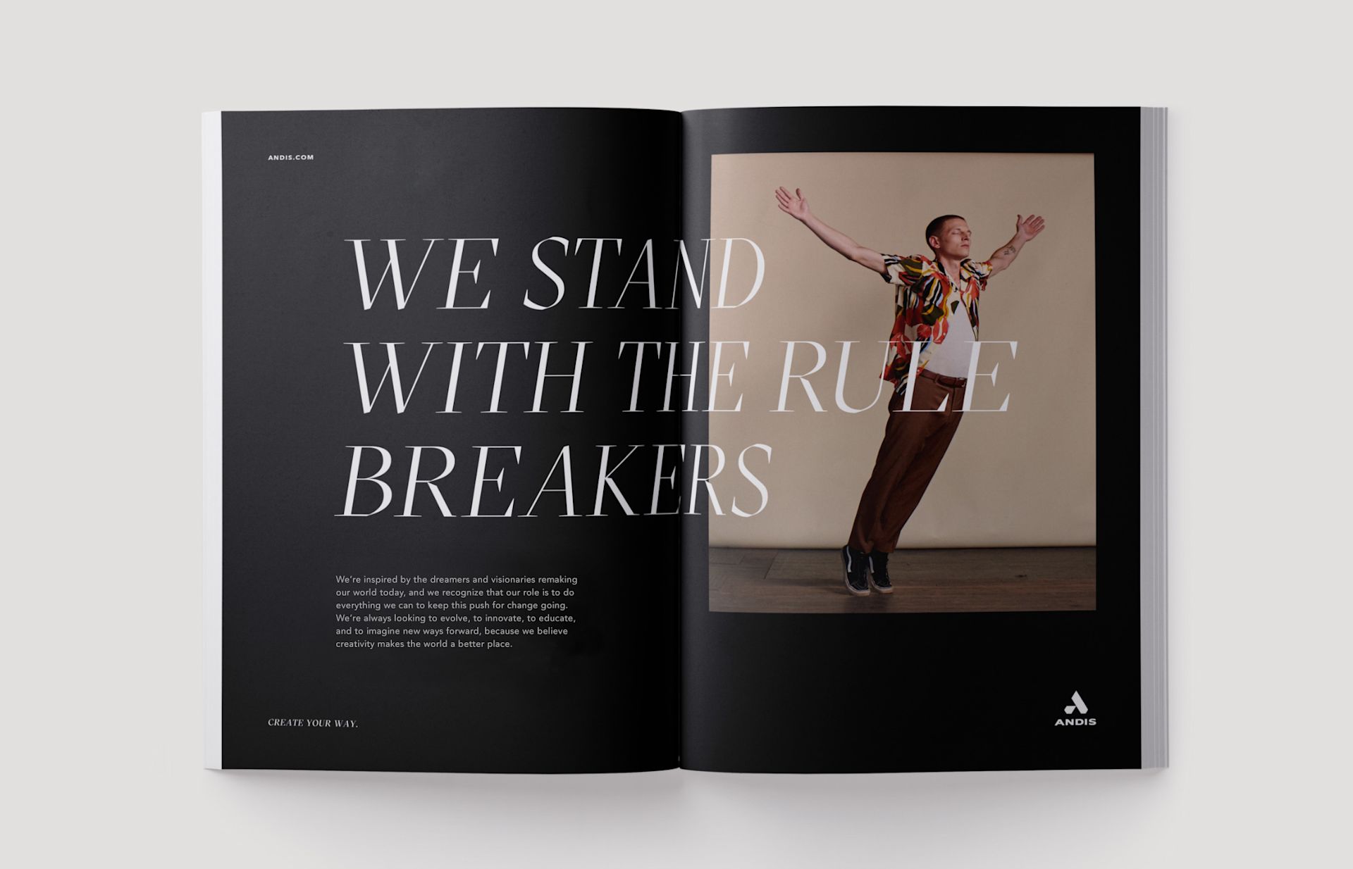 andis-campaign1-branding-services