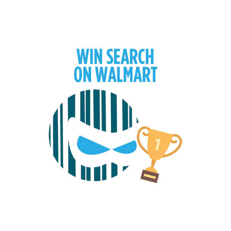 Case Study: Walmart Search Boost has Improved 2500+ Product Pages!