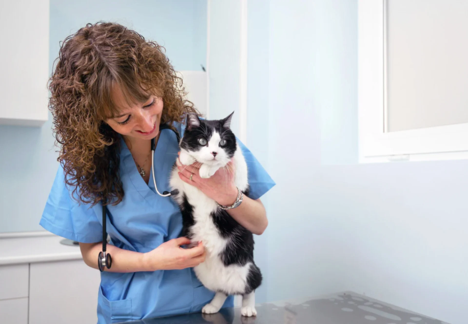 doctor holding cat