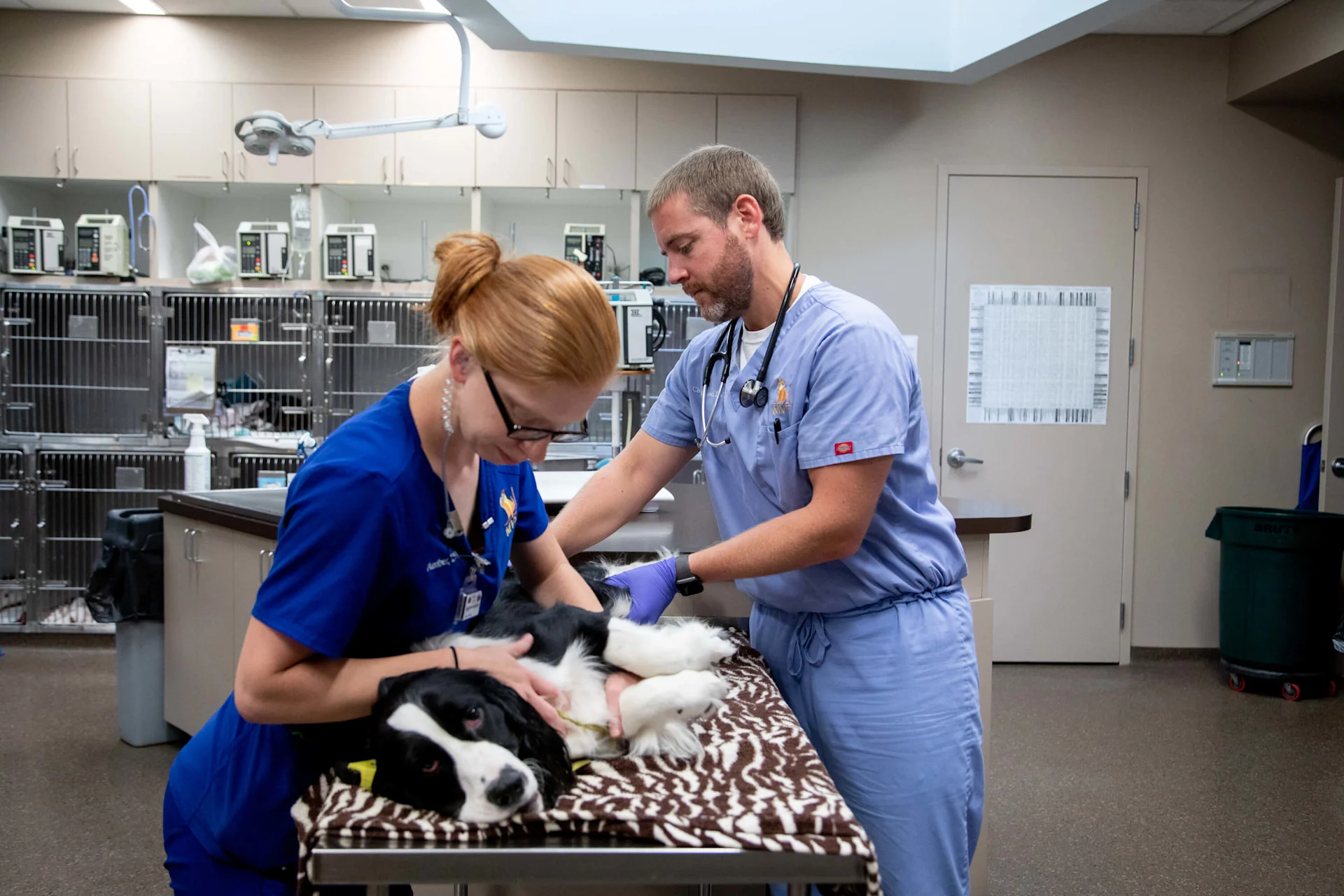 doctors with dog
