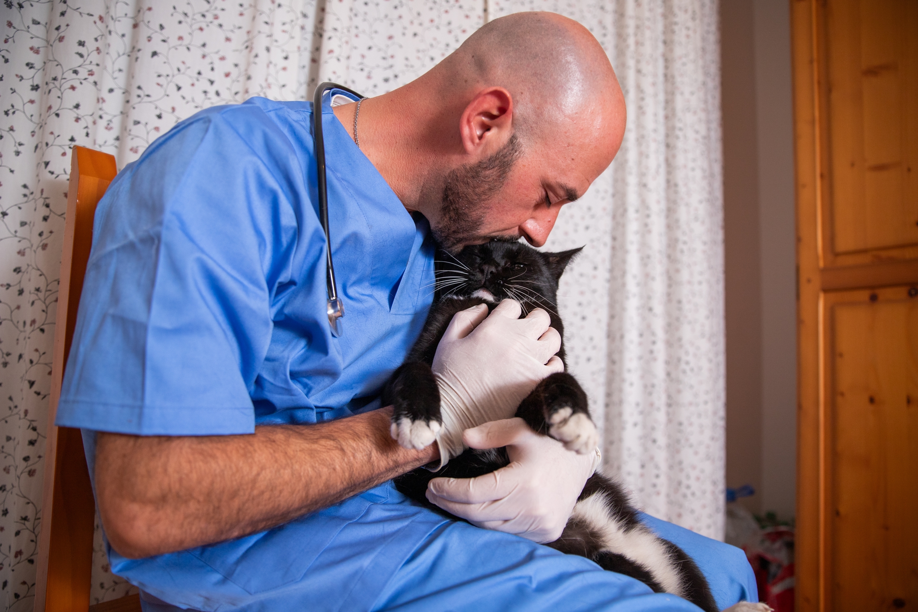 continuityHero continuityHero