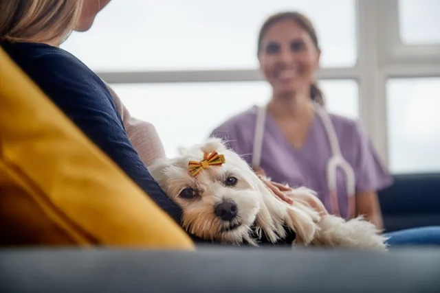 A dog with a veterinarian smiling in the background