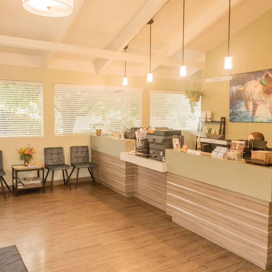 Santa cruz hospital reception view