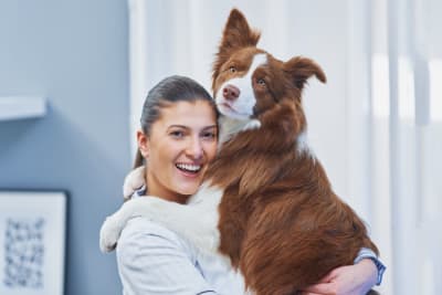 6 Benefits of Pet Wellness Plans 6 Benefits of Pet Wellness Plans