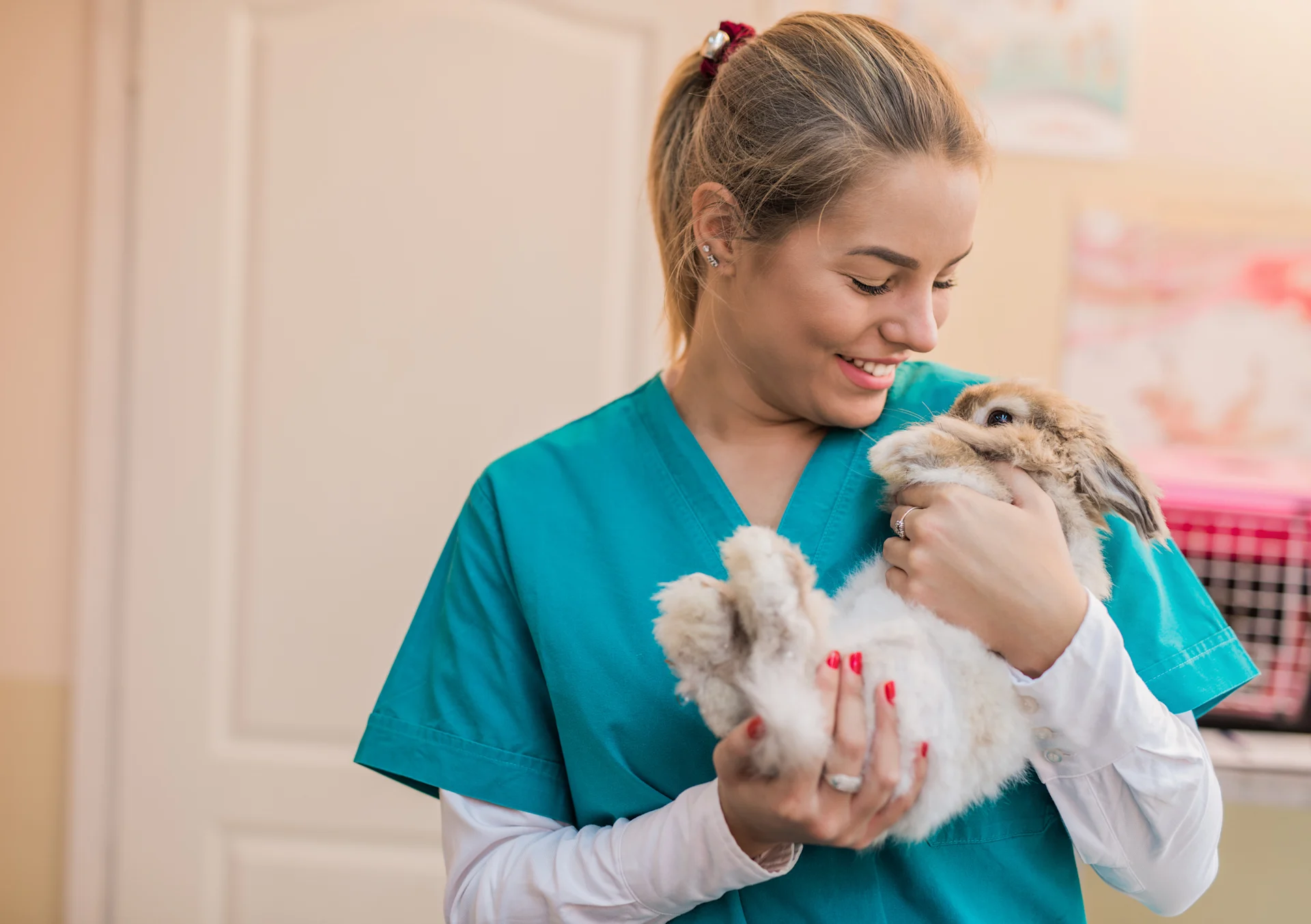 Beautiful female veterinarian holding a bunny.