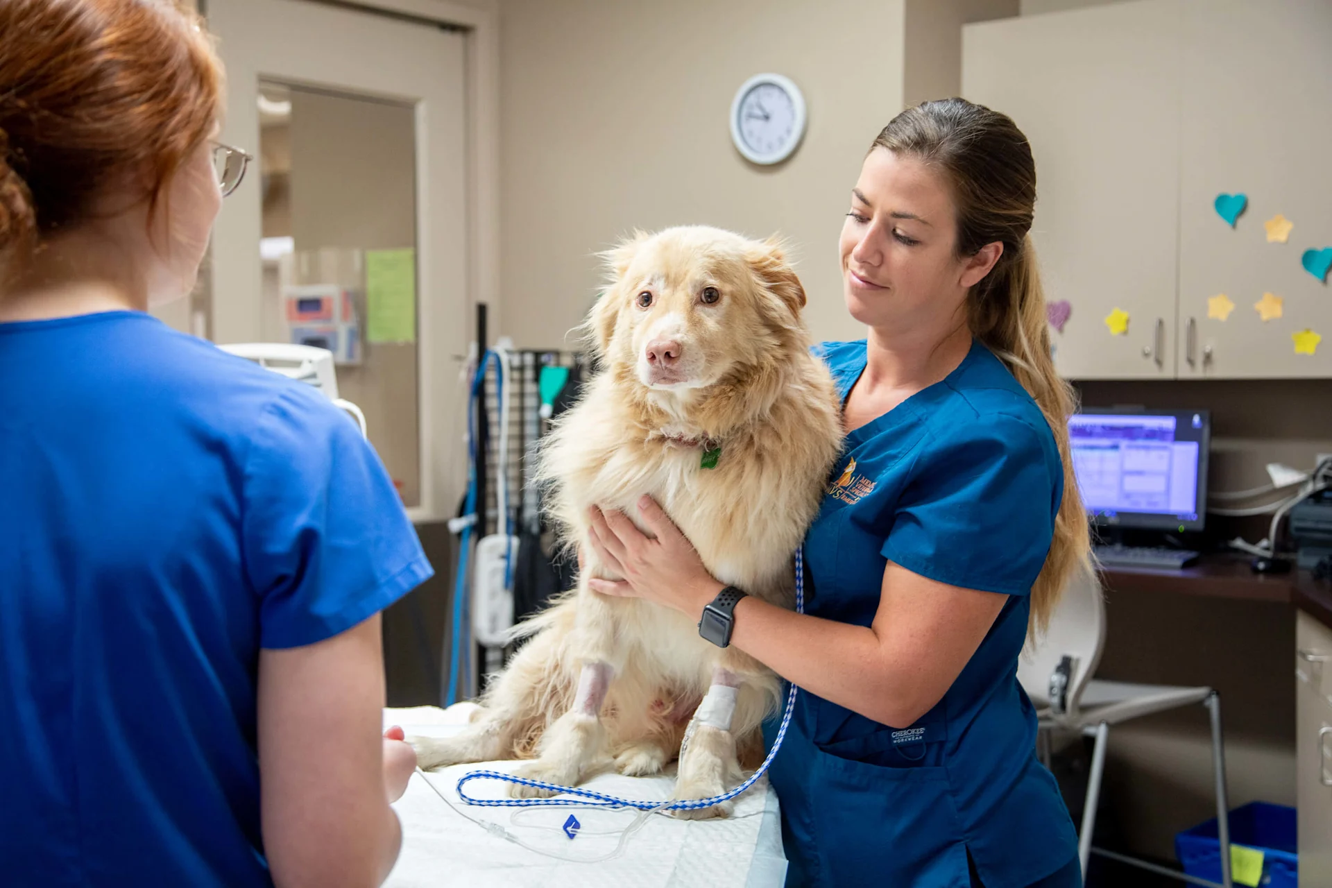 doctors with dog