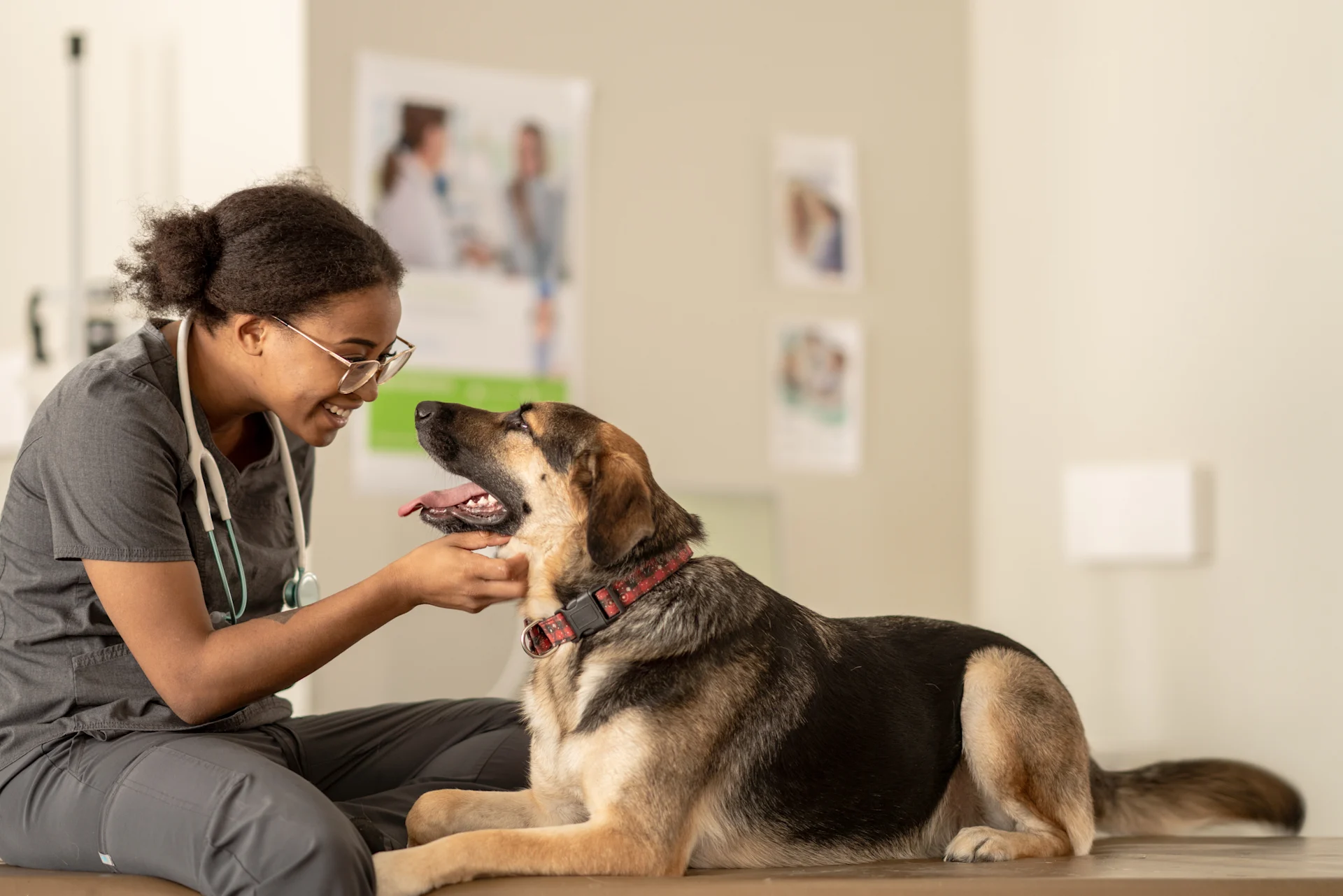 veterinarian smiling at dog