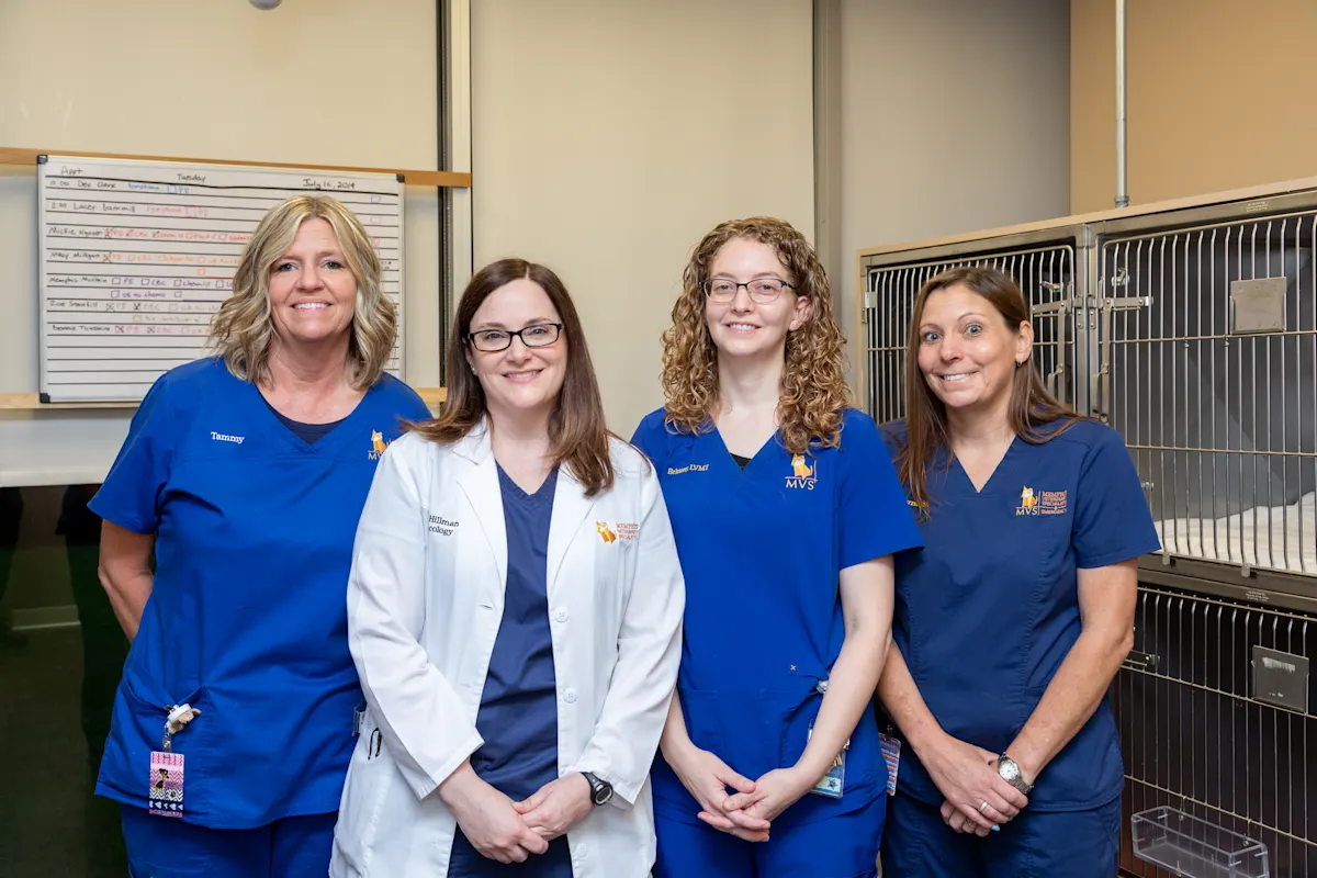 A group portrait of a veterinarian in a white coat and three technicians in blue scrubs standing in a clinic treatment area.