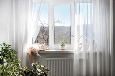 How Long Can You Leave Your Cat Alone? How Long Can You Leave Your Cat Alone?