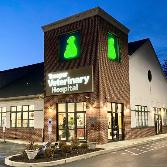 Trooper Veterinary Hospital Generic Section Image