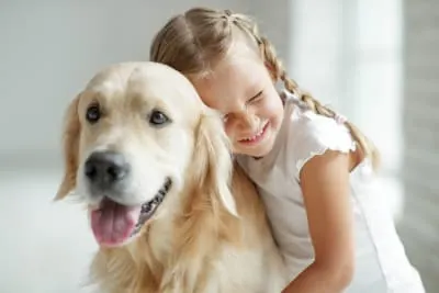 The Top 10 Dogs for Kids & Families