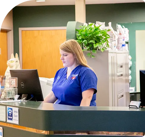 A veterinary receptionist in blue scrubs standing behind a curved dark green front desk, looking down at a computer screen.