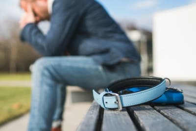 What to Say When Someone Loses a Pet