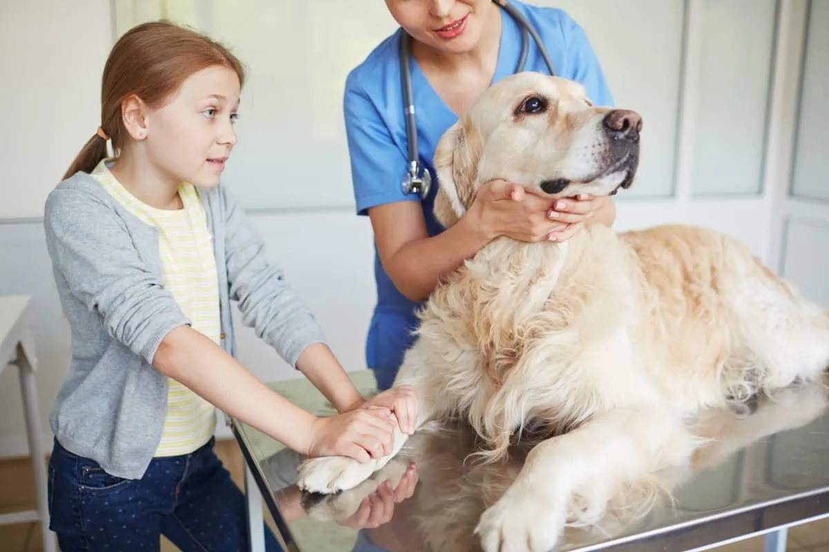 Are Pet Wellness Plans Worth It For Routine Care? Are Pet Wellness Plans Worth It For Routine Care?