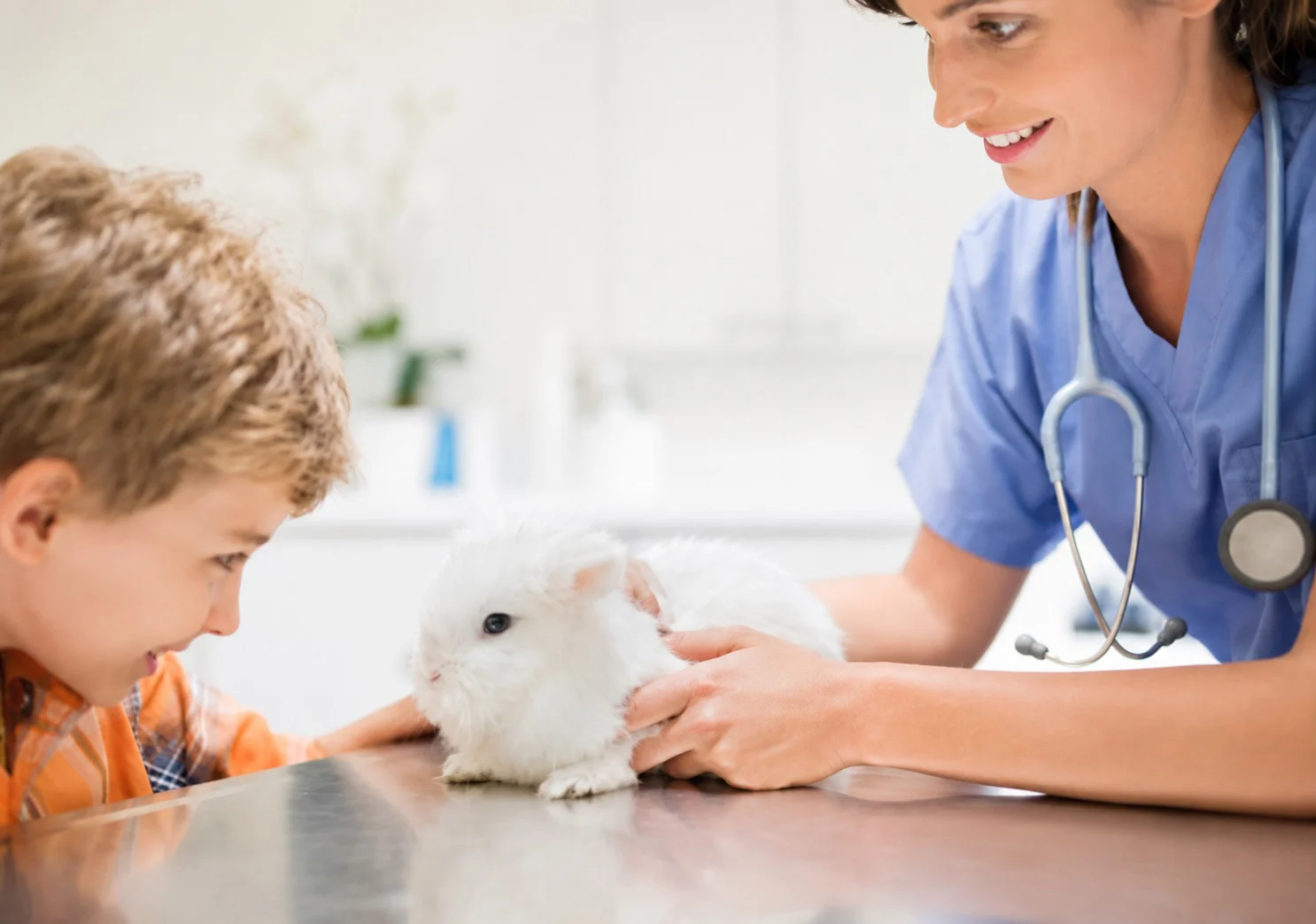 doctor with animal