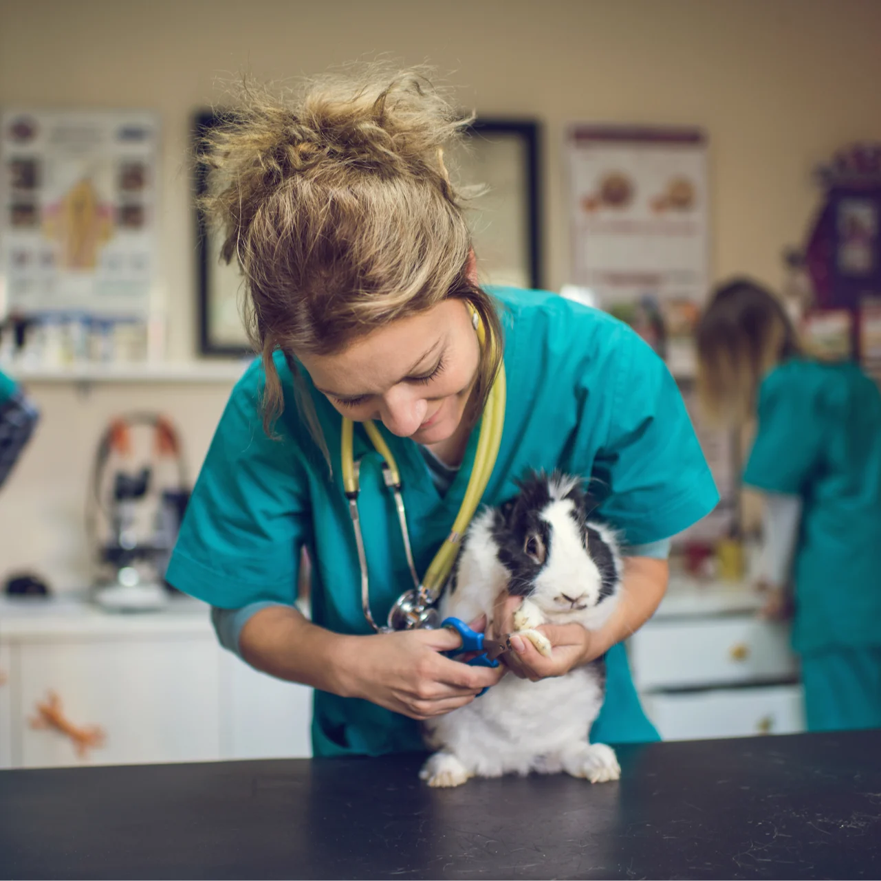 doctor with bunny