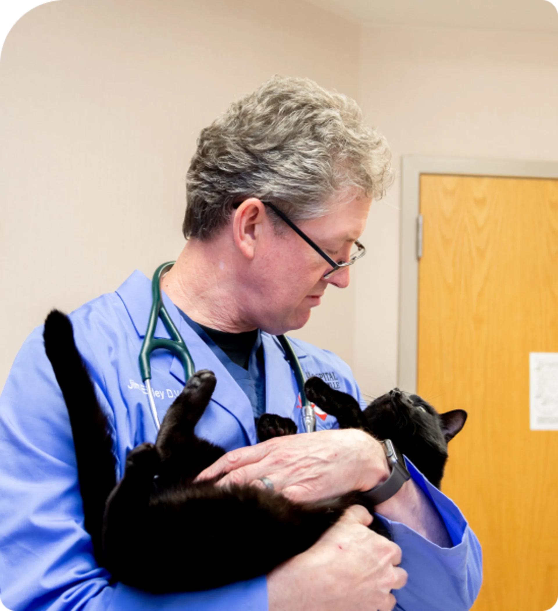 doctor with cat