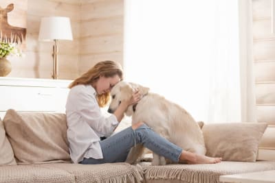 Dog & Cat Hospice Care: What You Should Know Dog & Cat Hospice Care: What You Should Know