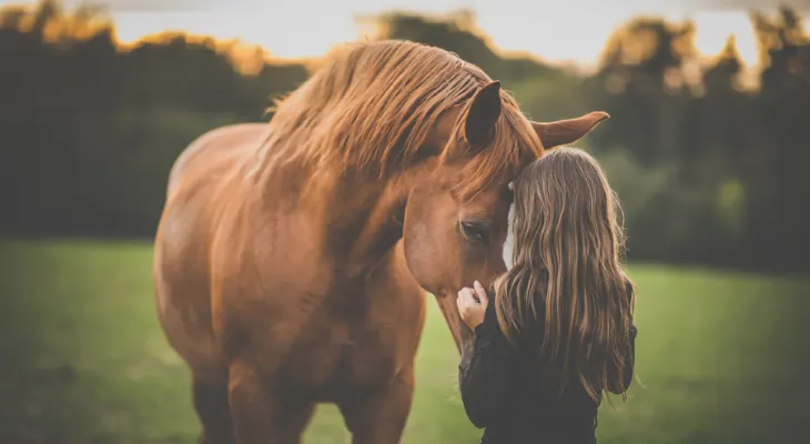 May Newsletter: Care Tips for Your Senior Horse